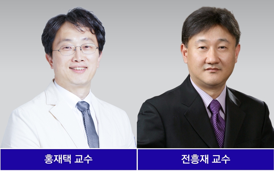 $뼈 조직 재생 촉진할 수 있는 첨단 플랫폼 개발